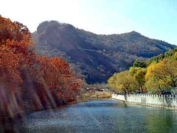 澳门天天开奖免费资料，佛山至山东物流